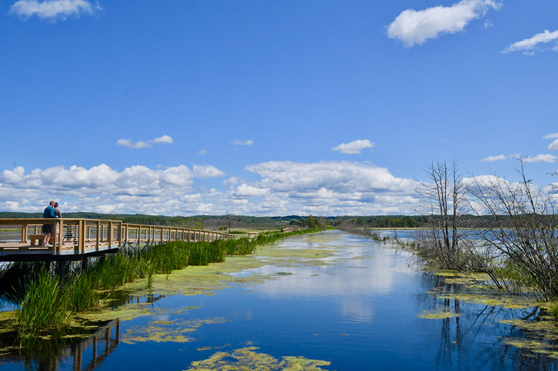 Arcadia Marsh Nature Trail
